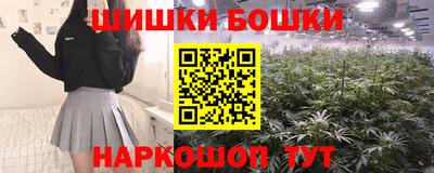 соль ск Партизанск