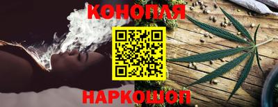 гидра Пенза