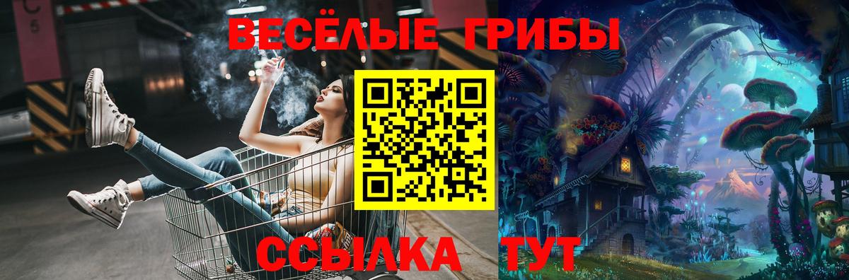 Псилоцибиновые грибы Psilocybe Сердобск
