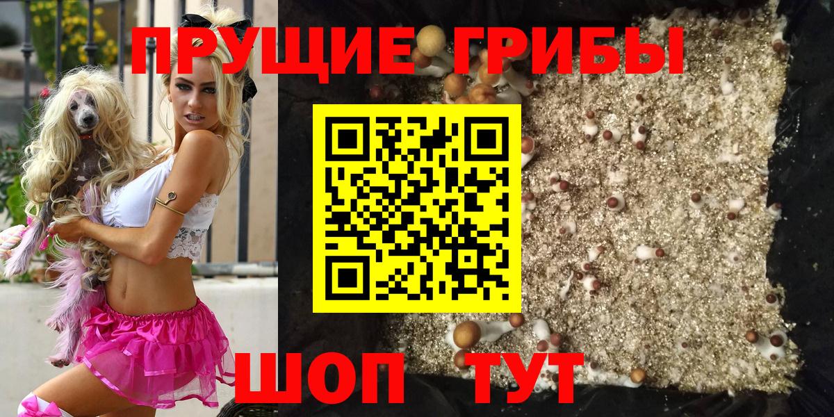 Галлюциногенные грибы прущие грибы  Вход с VPN  Галлюциногенные грибы Magic Shrooms  Сердобск 